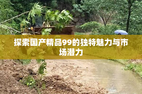 探索国产精品99的独特魅力与市场潜力