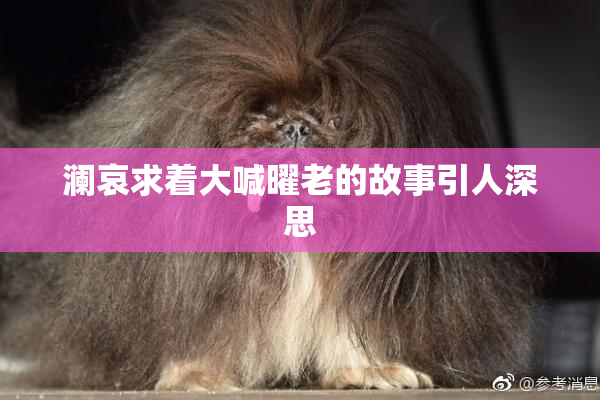 澜哀求着大喊曜老的故事引人深思