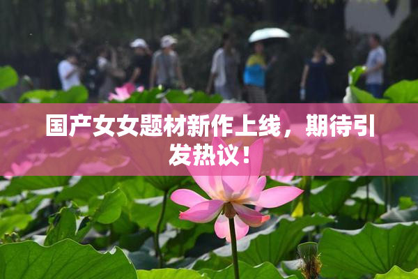 国产女女题材新作上线，期待引发热议！