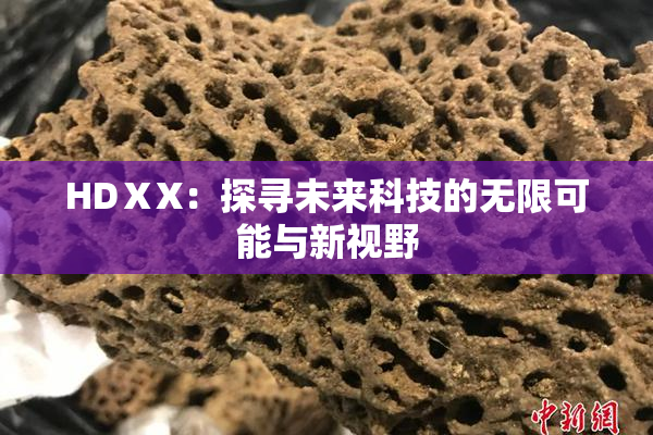 HDⅩX：探寻未来科技的无限可能与新视野