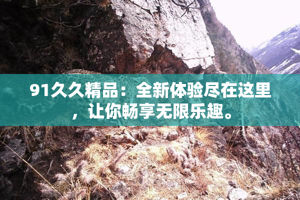91久久精品：全新体验尽在这里，让你畅享无限乐趣。