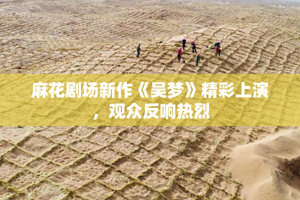 麻花剧场新作《吴梦》精彩上演，观众反响热烈