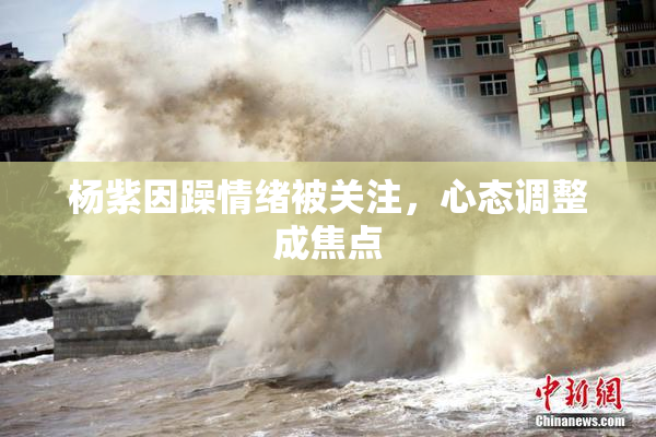 杨紫因躁情绪被关注，心态调整成焦点