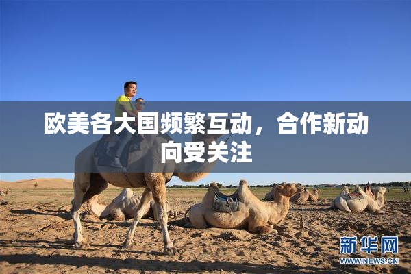 欧美各大国频繁互动，合作新动向受关注