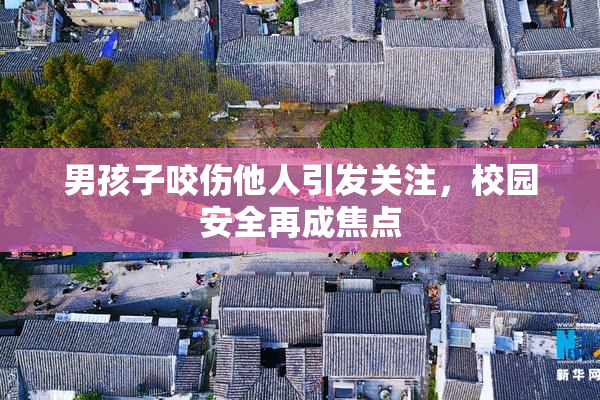 男孩子咬伤他人引发关注，校园安全再成焦点