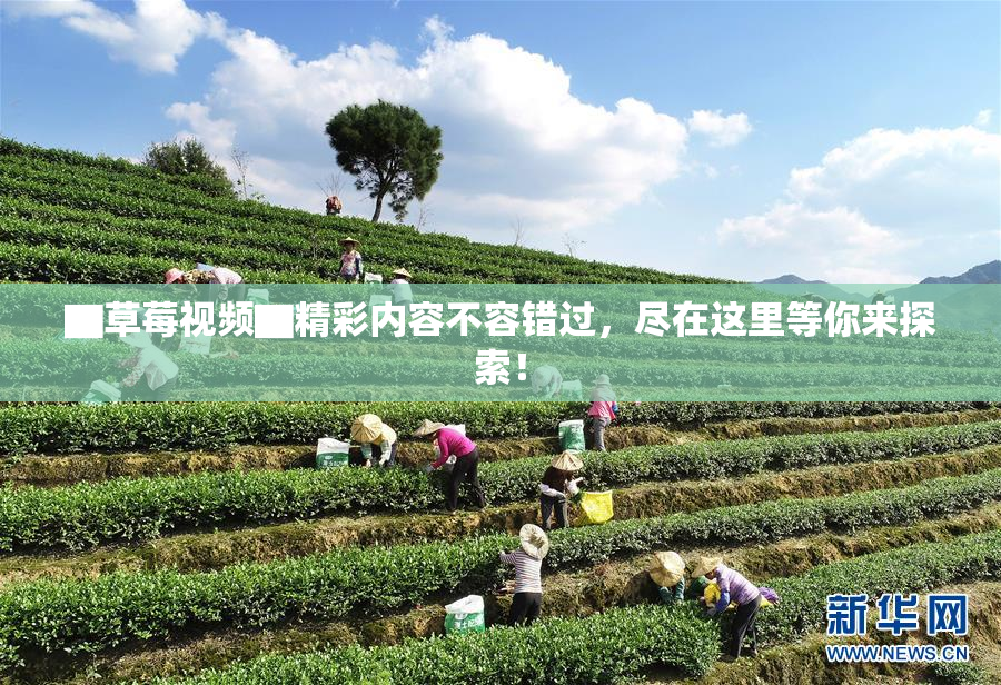 ▇草莓视频▇精彩内容不容错过，尽在这里等你来探索！