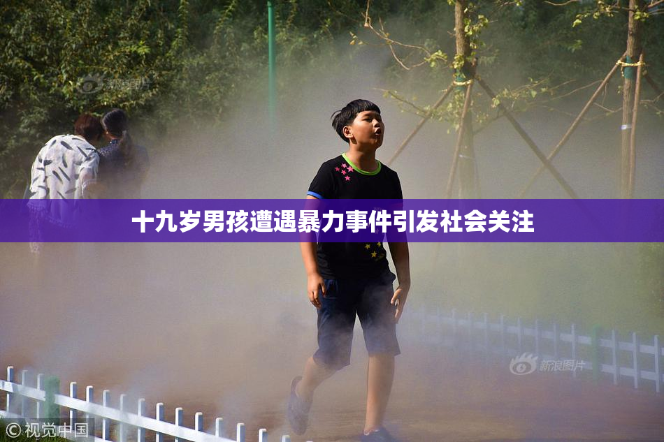 十九岁男孩遭遇暴力事件引发社会关注
