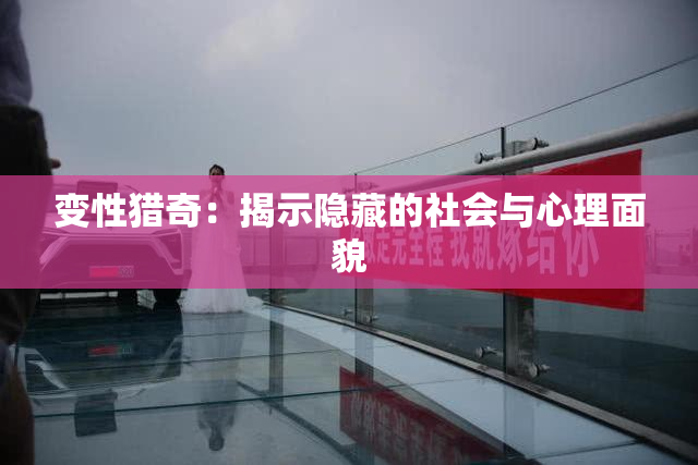 变性猎奇：揭示隐藏的社会与心理面貌