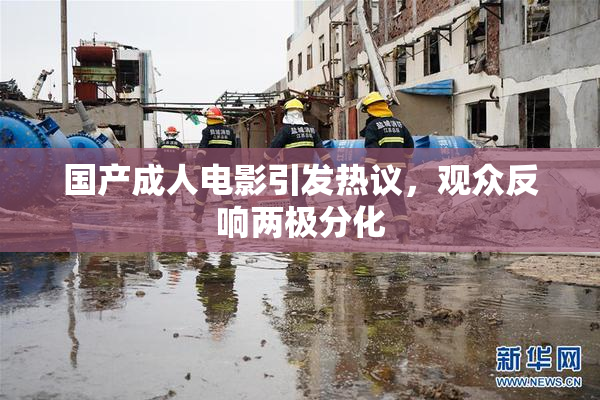 国产成人电影引发热议，观众反响两极分化
