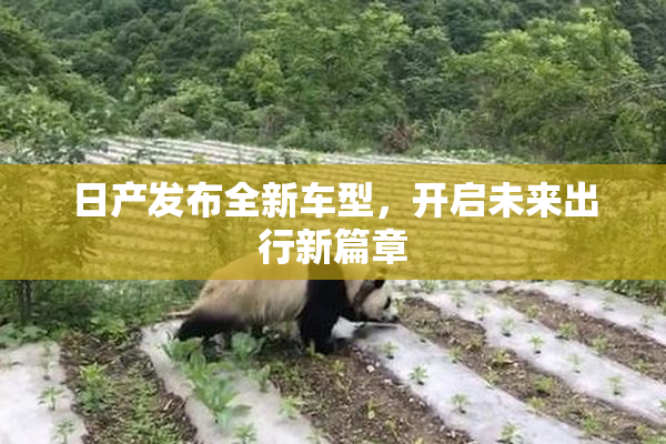 日产发布全新车型，开启未来出行新篇章