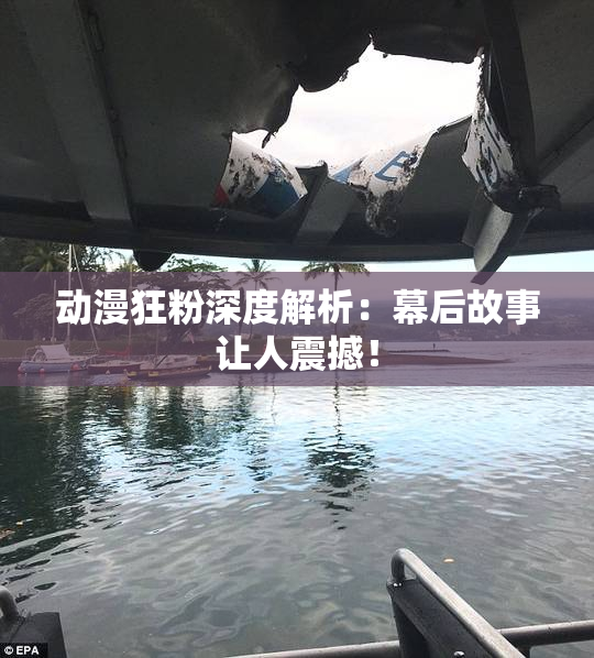 动漫狂粉深度解析：幕后故事让人震撼！