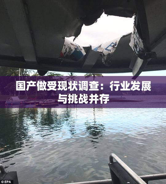 国产做受现状调查：行业发展与挑战并存