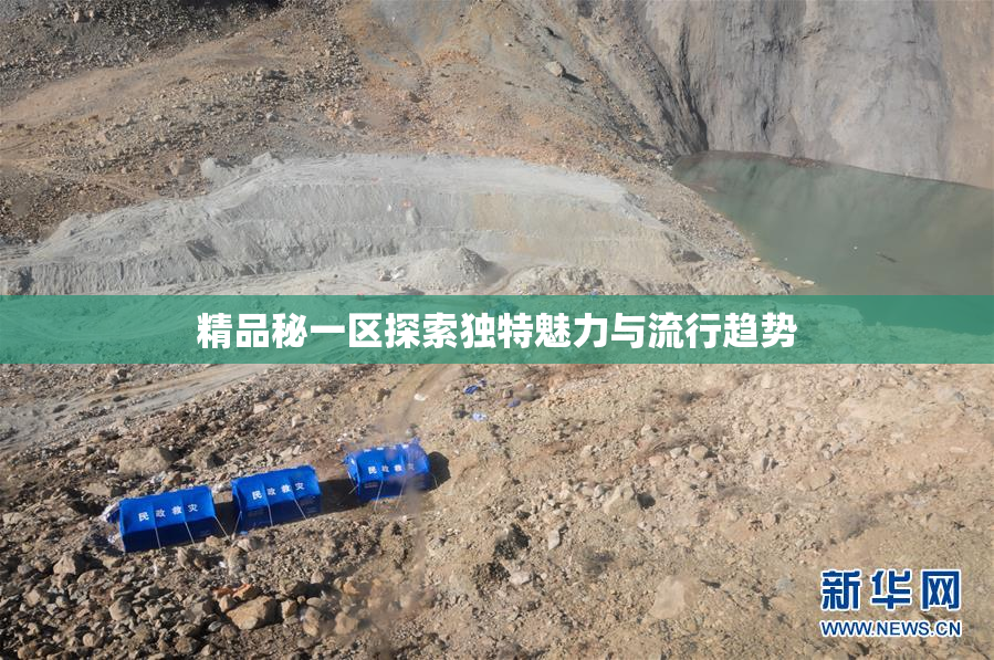 精品秘一区探索独特魅力与流行趋势