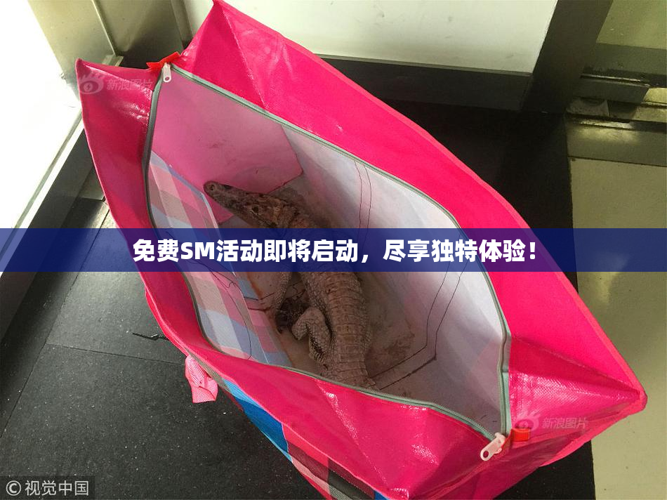 免费SM活动即将启动，尽享独特体验！