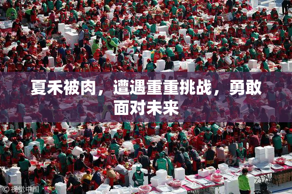 夏禾被肉，遭遇重重挑战，勇敢面对未来
