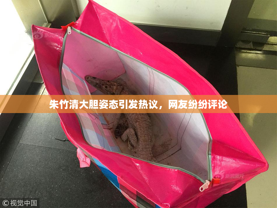 朱竹清大胆姿态引发热议，网友纷纷评论