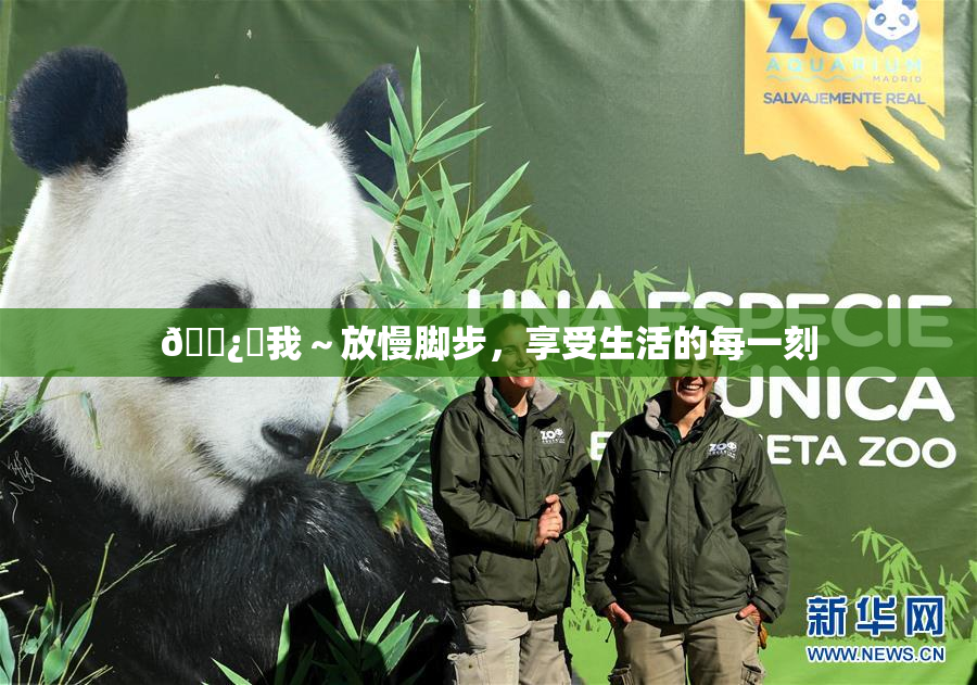 🌿‌我～放慢脚步，享受生活的每一刻