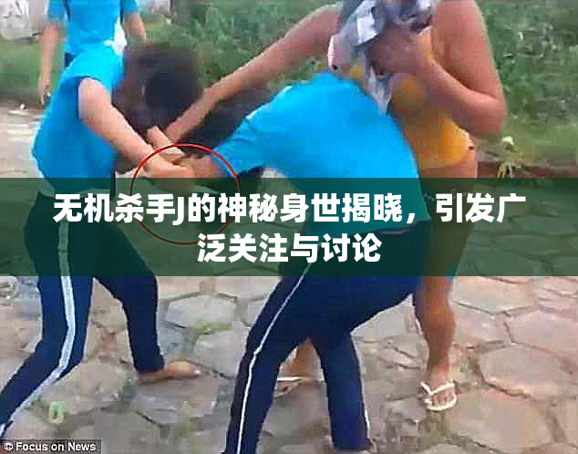 无机杀手J的神秘身世揭晓，引发广泛关注与讨论