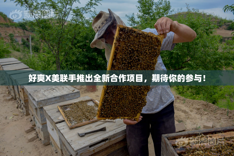 好爽X美联手推出全新合作项目，期待你的参与！