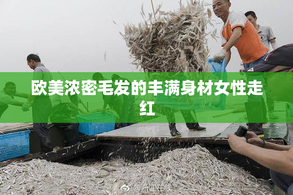 欧美浓密毛发的丰满身材女性走红