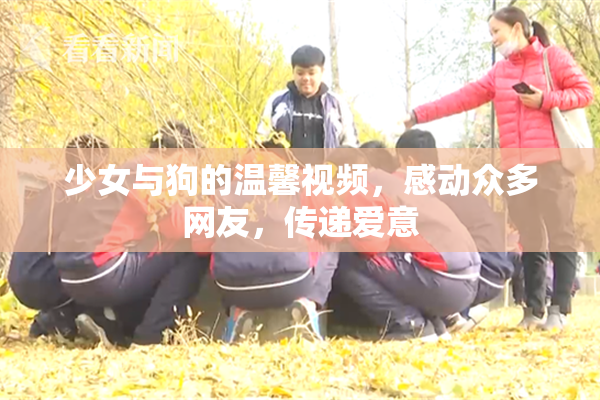 少女与狗的温馨视频，感动众多网友，传递爱意
