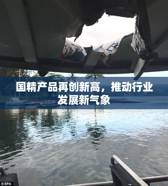 国精产品再创新高，推动行业发展新气象