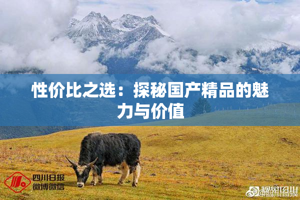 性价比之选：探秘国产精品的魅力与价值