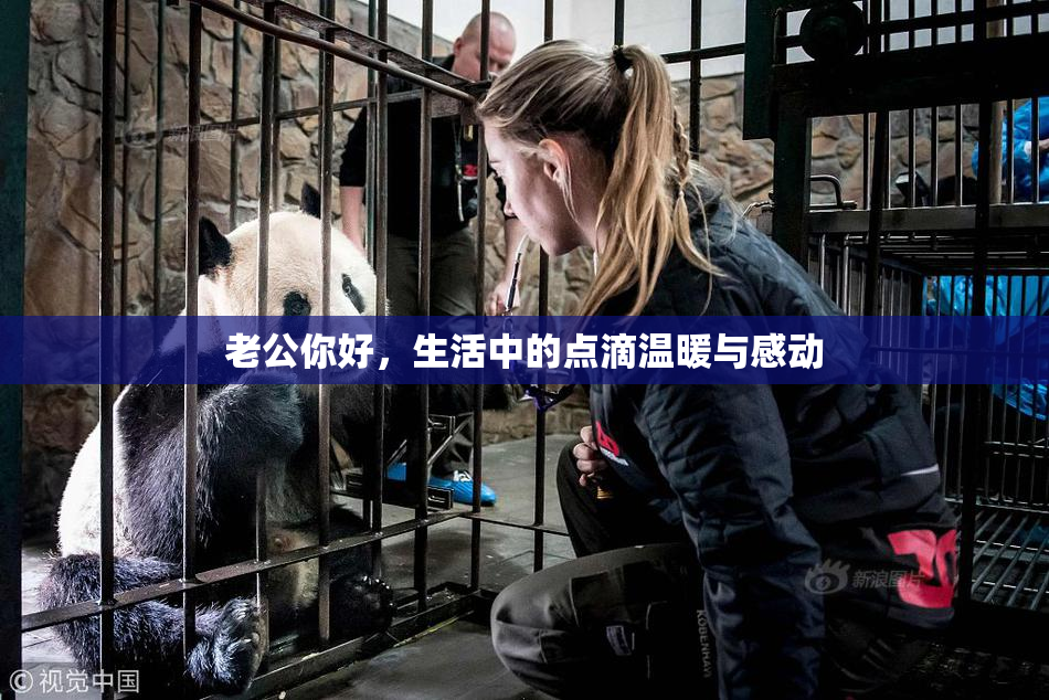 老公你好，生活中的点滴温暖与感动