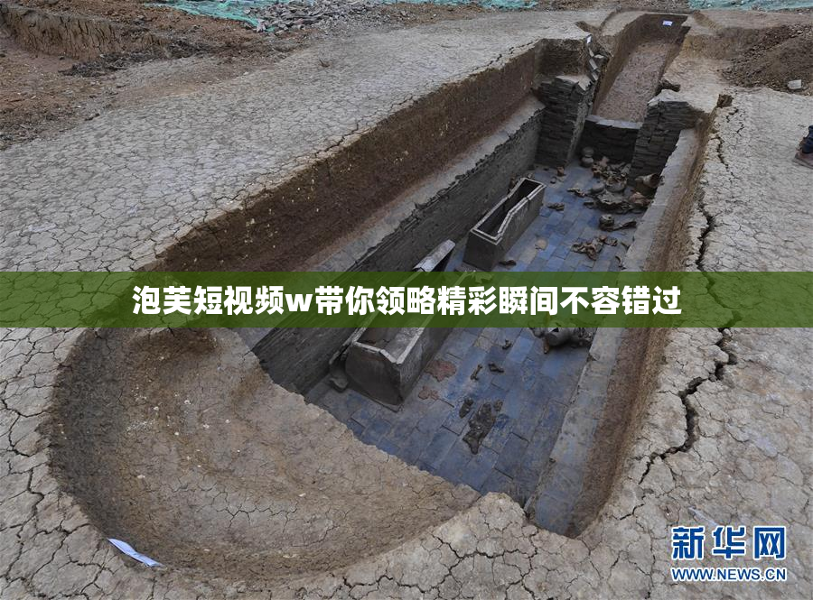 泡芙短视频w带你领略精彩瞬间不容错过