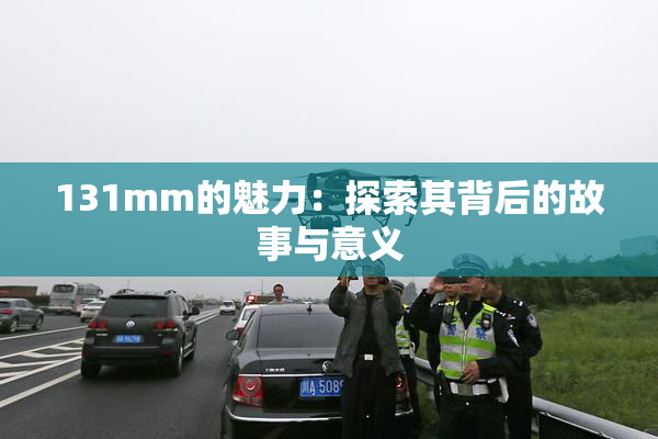 131mm的魅力：探索其背后的故事与意义