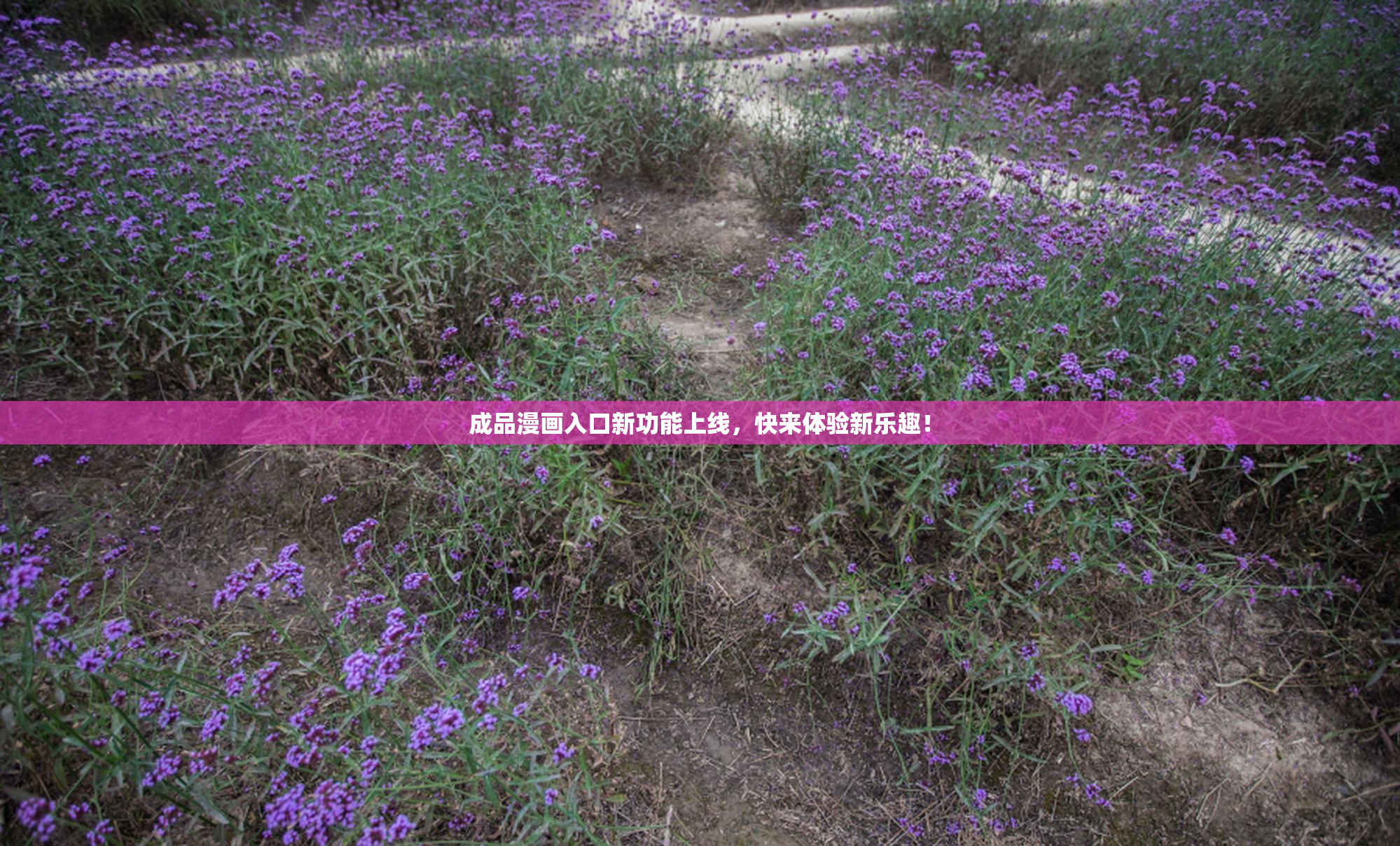 成品漫画入口新功能上线，快来体验新乐趣！