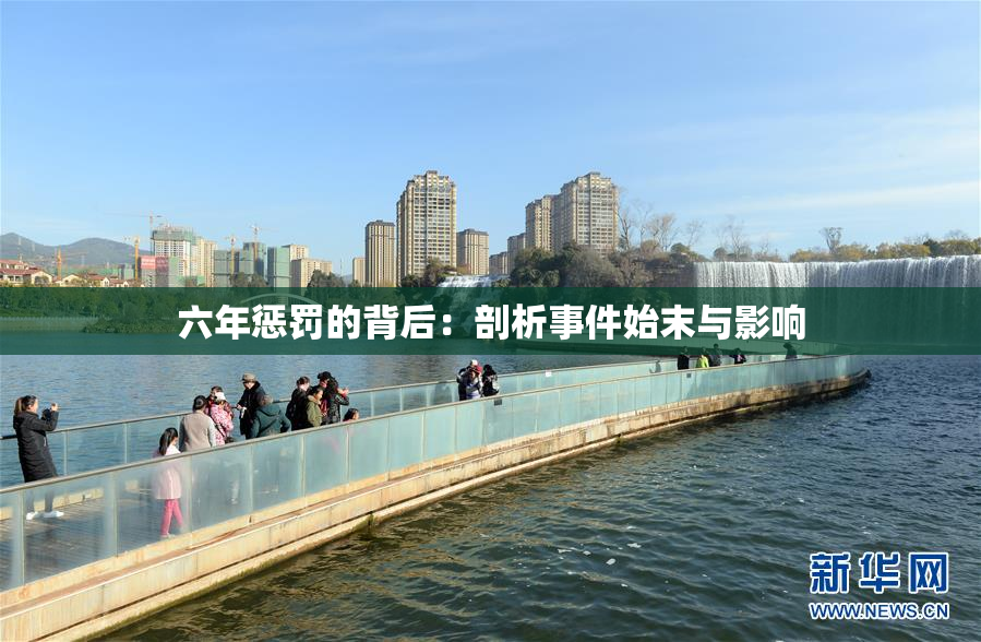 六年惩罚的背后：剖析事件始末与影响