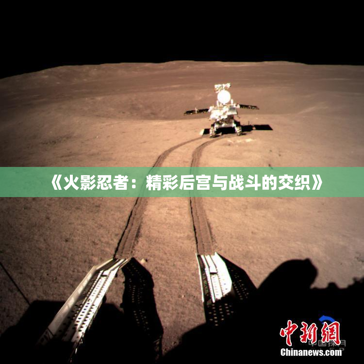 《火影忍者：精彩后宫与战斗的交织》