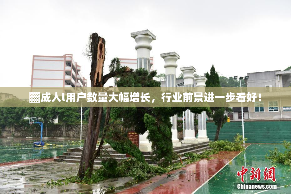 ▓成人l用户数量大幅增长，行业前景进一步看好！