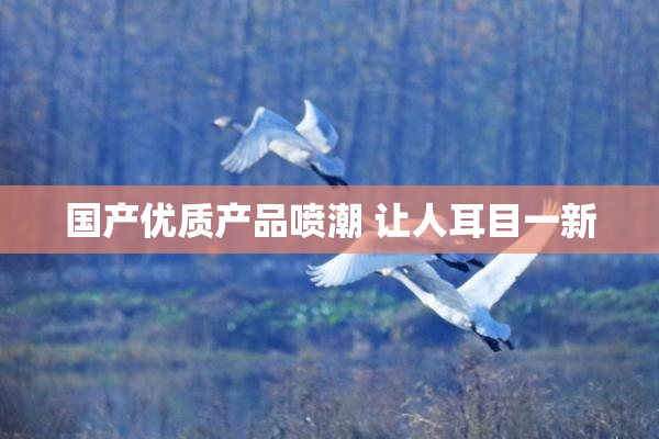 国产优质产品喷潮 让人耳目一新