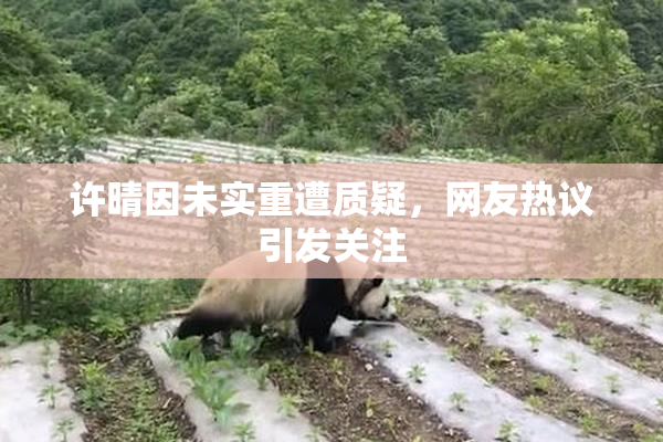 许晴因未实重遭质疑，网友热议引发关注