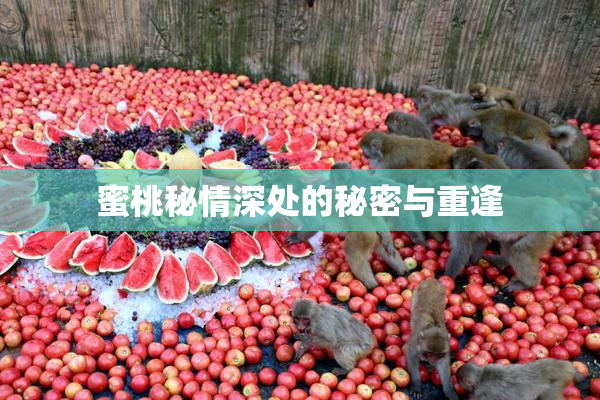 蜜桃秘情深处的秘密与重逢