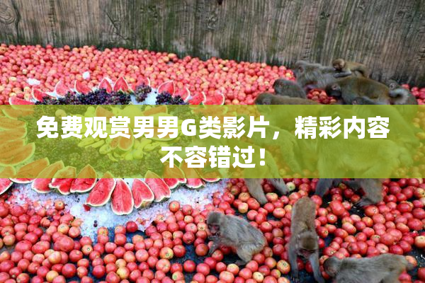 免费观赏男男G类影片，精彩内容不容错过！