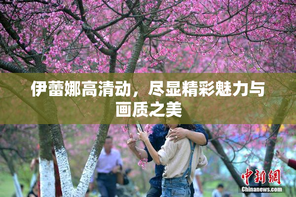 伊蕾娜高清动，尽显精彩魅力与画质之美