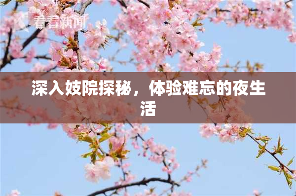 深入妓院探秘，体验难忘的夜生活