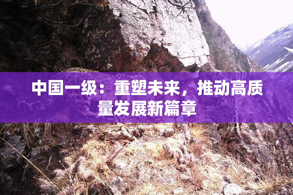 中国一级：重塑未来，推动高质量发展新篇章