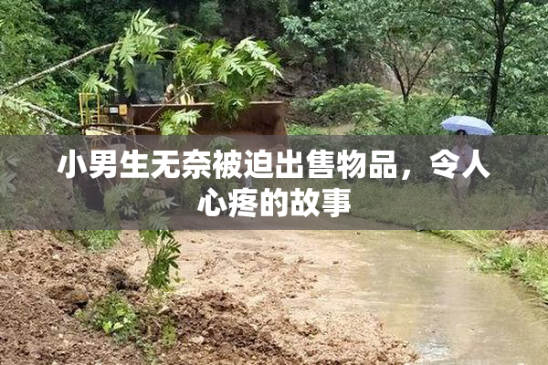 小男生无奈被迫出售物品，令人心疼的故事