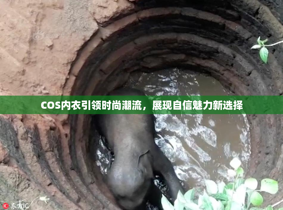 COS内衣引领时尚潮流，展现自信魅力新选择