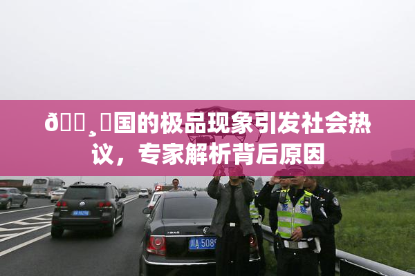 🌸‌国的极品现象引发社会热议，专家解析背后原因