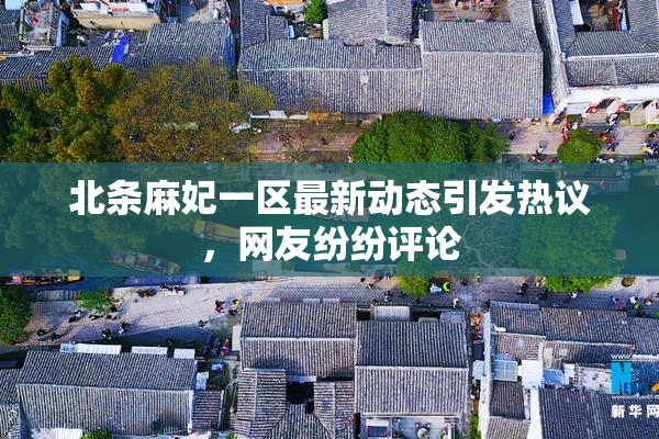 北条麻妃一区最新动态引发热议，网友纷纷评论