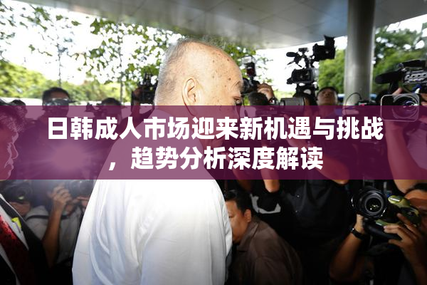 日韩成人市场迎来新机遇与挑战，趋势分析深度解读