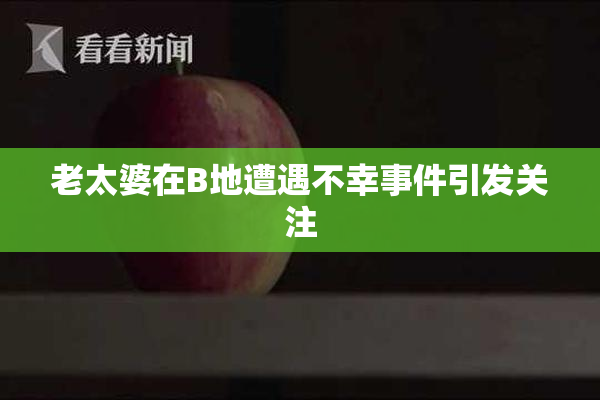 老太婆在B地遭遇不幸事件引发关注