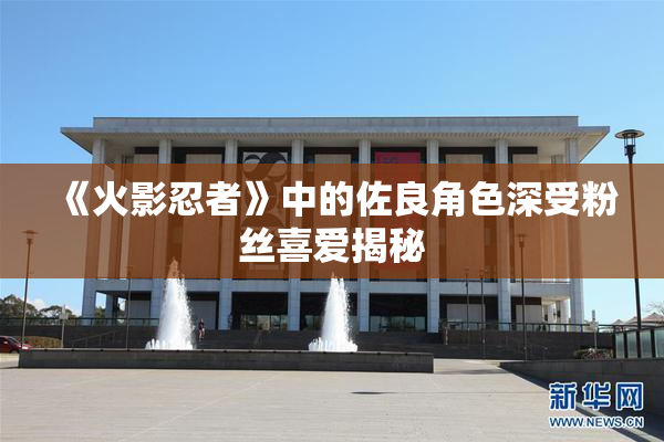 《火影忍者》中的佐良角色深受粉丝喜爱揭秘
