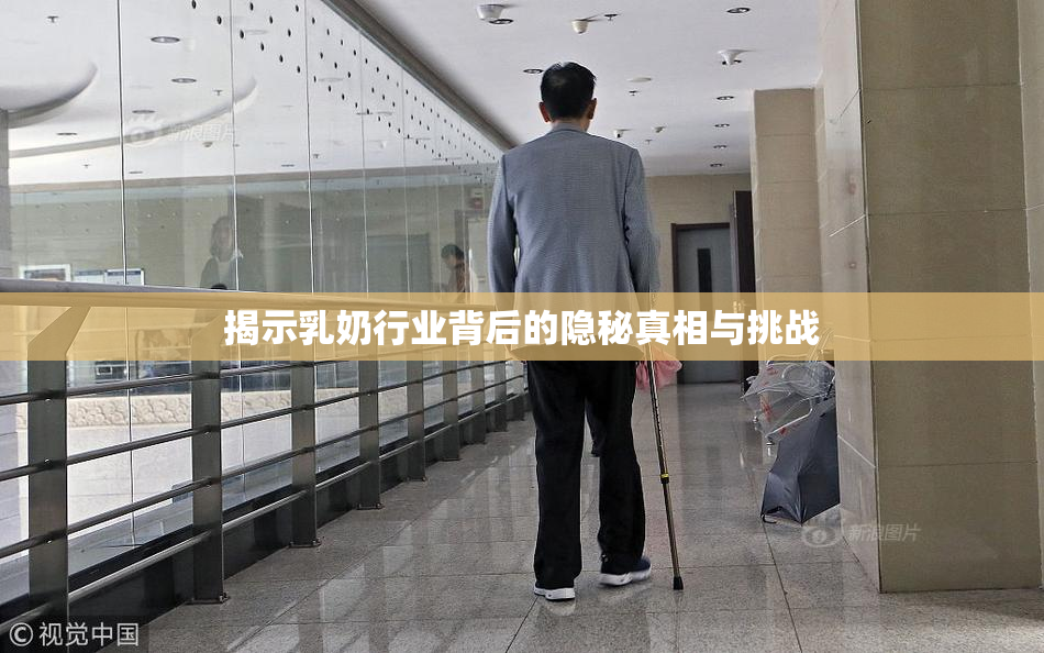 揭示乳奶行业背后的隐秘真相与挑战