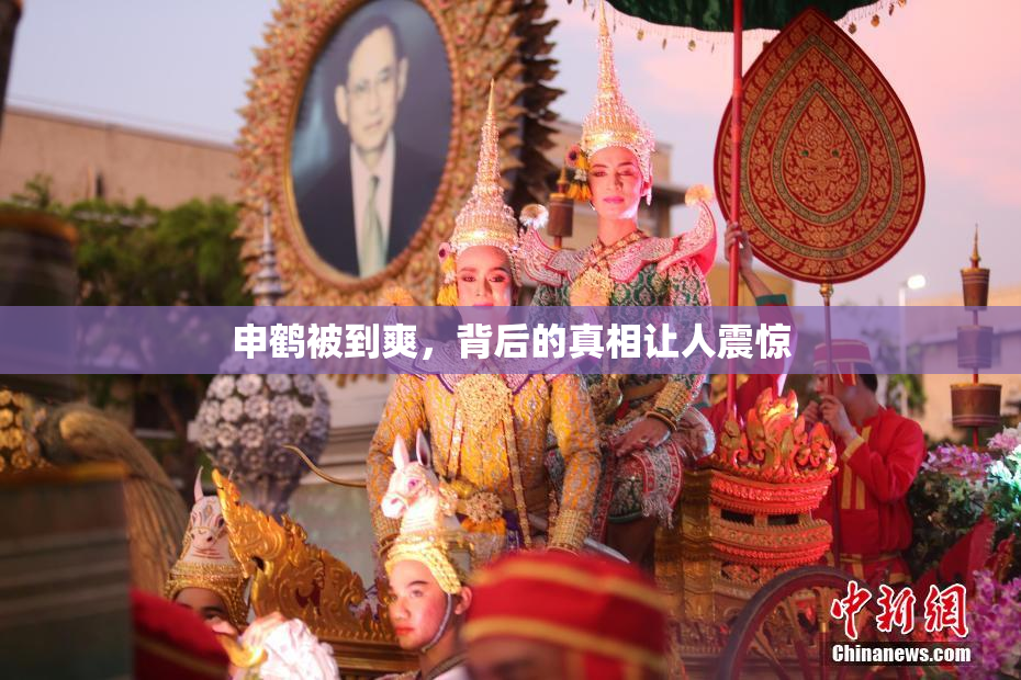 申鹤被到爽，背后的真相让人震惊